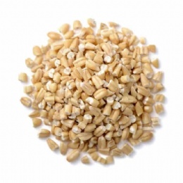 Canadian Steel Cut Oats
